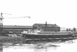 bueschingundrosemeyer