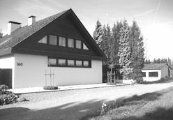 steinmann